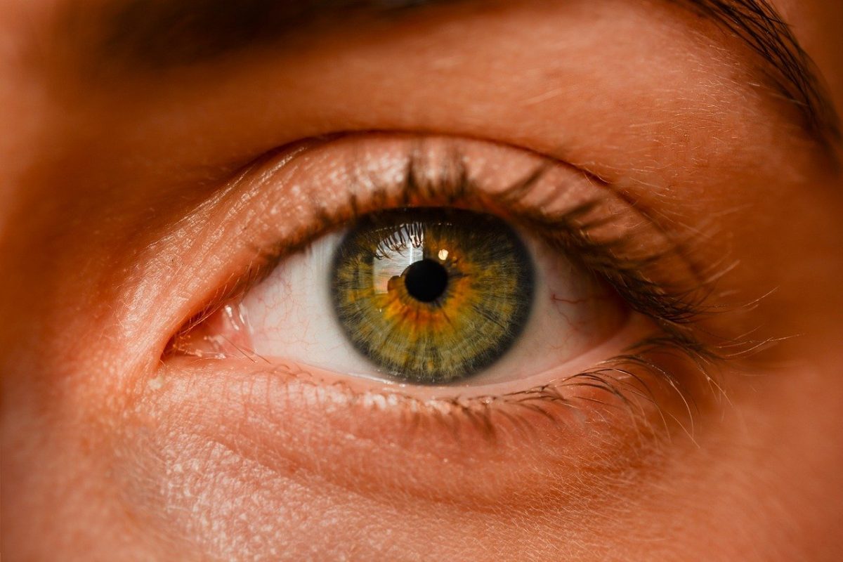Oczy to ekstrawagancki organ. To naturalnie dzięki nim spostrzegamy.